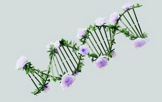 В России на смену популярного китайского кроссовера пришел белорусский Belgee X70