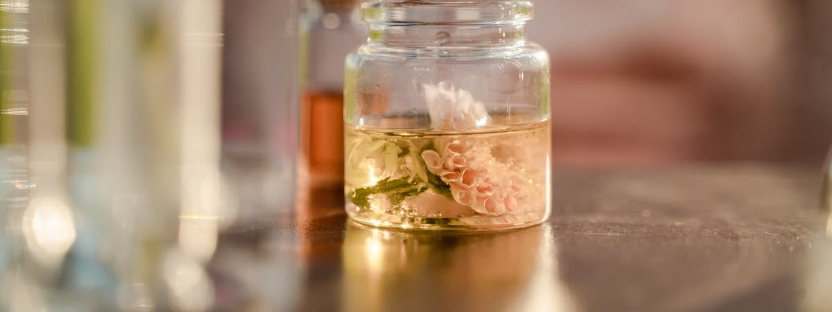 Украина увеличила добычу газа до самого высокого показателя с начала войны