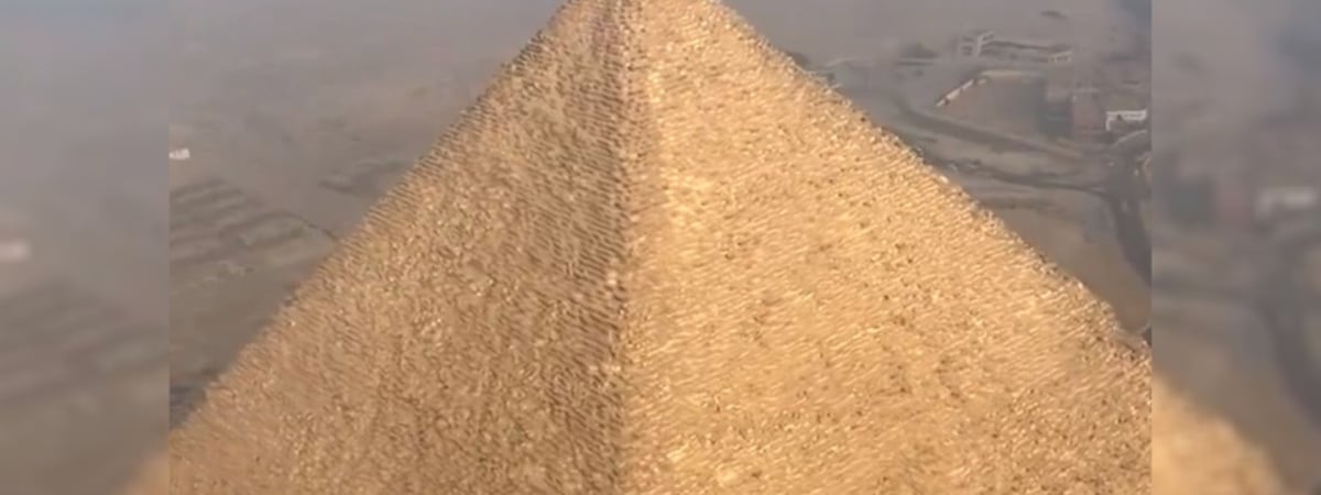 Анубис во плоти? В Египте собака забралась на вершину одной из пирамид Гизы — Видео