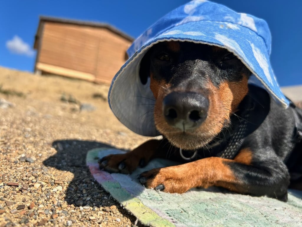 Белорусы рассказали, как дёшево съездили на море на китайском кроссовере