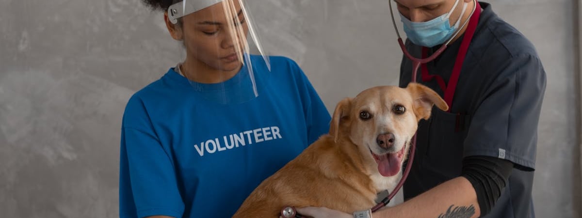 Россельхознадзор запретил ввозить продукцию трех белорусских предприятий