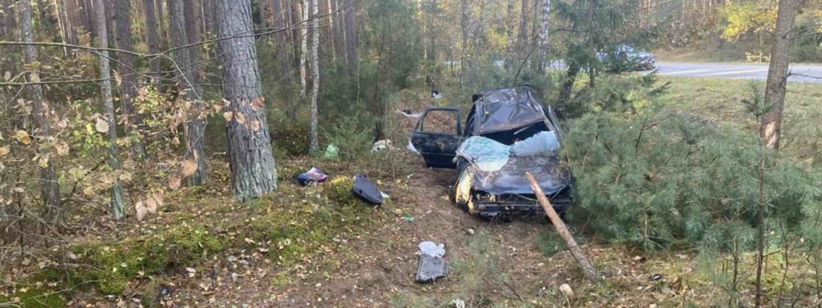 В Мостовском районе «Форд» вылетел в кювет и врезался в дерево