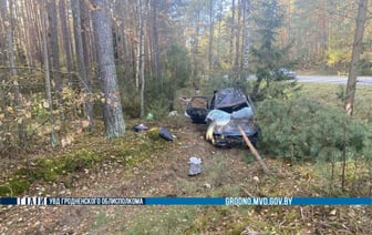 В Мостовском районе «Форд» вылетел в кювет и врезался в дерево