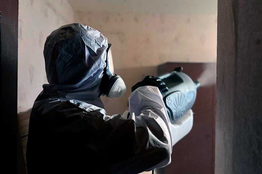 Охотники за тараканами: белорус рассказал, как ведет бизнес по дезинсекции