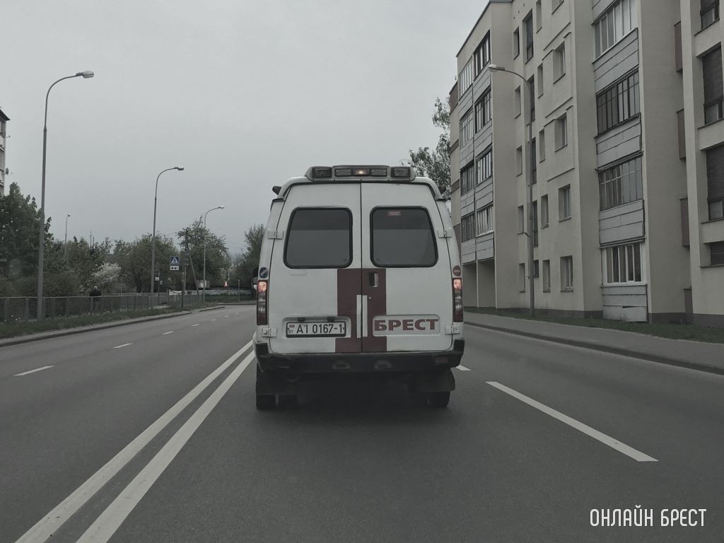 Фото носит иллюстративный характер