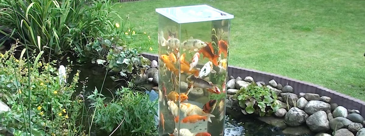 Видео «рыбных башен» покорили Интернет. Что это такое и зачем их делают? — Видео