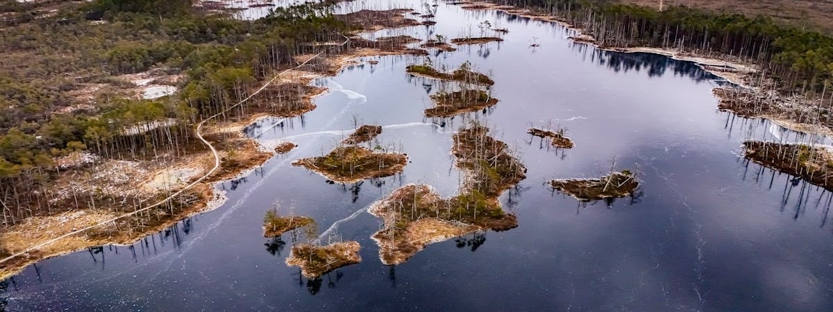 В Латвии могут повысить возрастной ценз для покупки алкоголя до 21 года