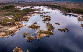 В Латвии могут повысить возрастной ценз для покупки алкоголя до 21 года