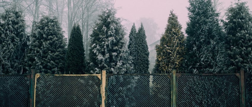 Сложные погодные условия на четверг