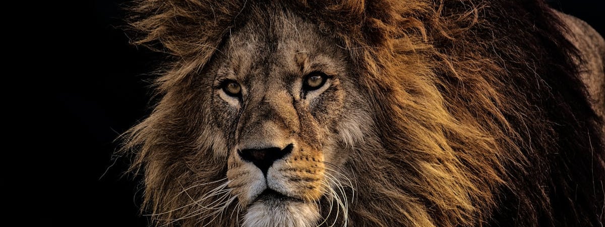 Казахстан предложил Германии сырье в обмен на технологии