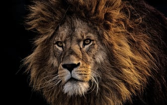 Казахстан предложил Германии сырье в обмен на технологии