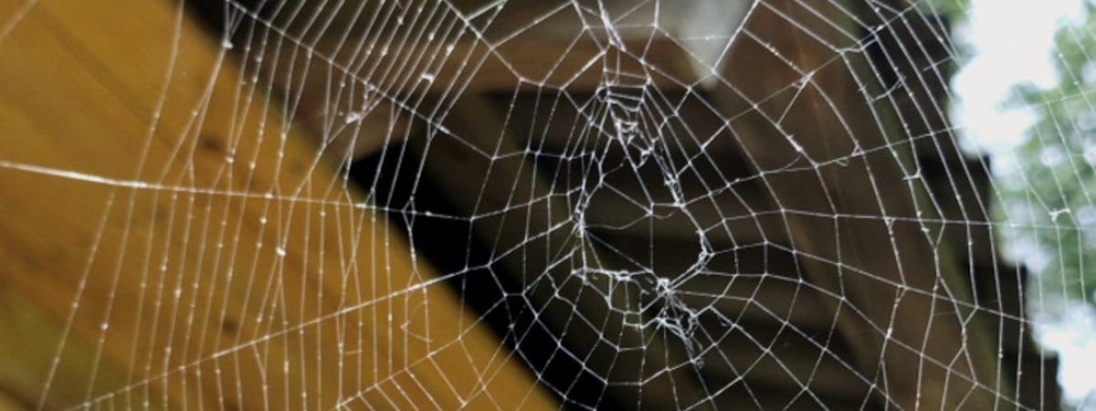 Дождь закончился? Какая погода ждет нас на неделе с 21 по 27 октября