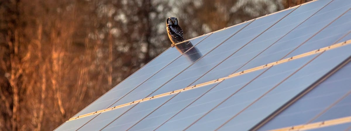 Китайские и саудовские компании вложат $3 млрд в строительство мощностей по выпуску солнечных панелей