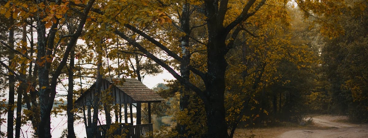 Более 4 тысяч европейцев посетили Беларусь по безвизу за неделю