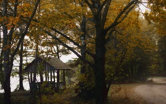 Более 4 тысяч европейцев посетили Беларусь по безвизу за неделю