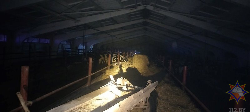 В Полоцком районе горела ферма с 142 телятами. Фото МЧС