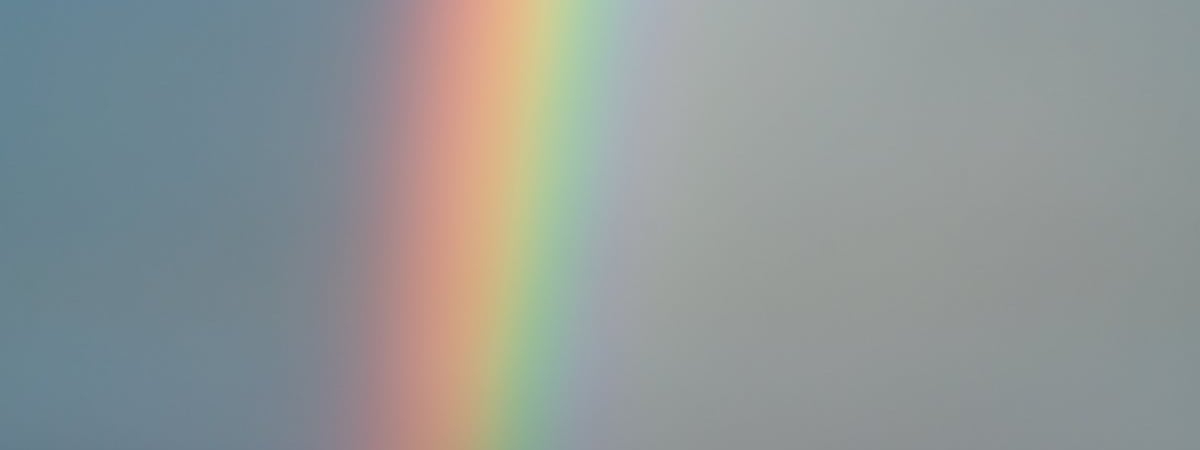 СК начал спецпроизводство против экс‑директорки гродненского хосписа Ольги Величко