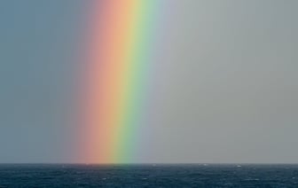 СК начал спецпроизводство против экс‑директорки гродненского хосписа Ольги Величко