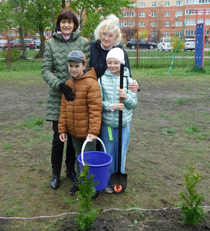 Семьдесят туй зазеленели во дворе СШ № 1 г. Бреста