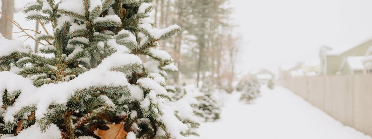 Иностранные инвесторы за январь-сентябрь вложили в экономику Минска $2,8 млрд