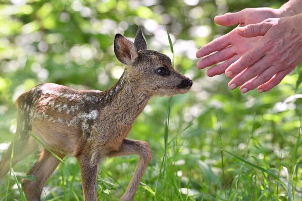 Фото из открытых источников (иллюстративное)