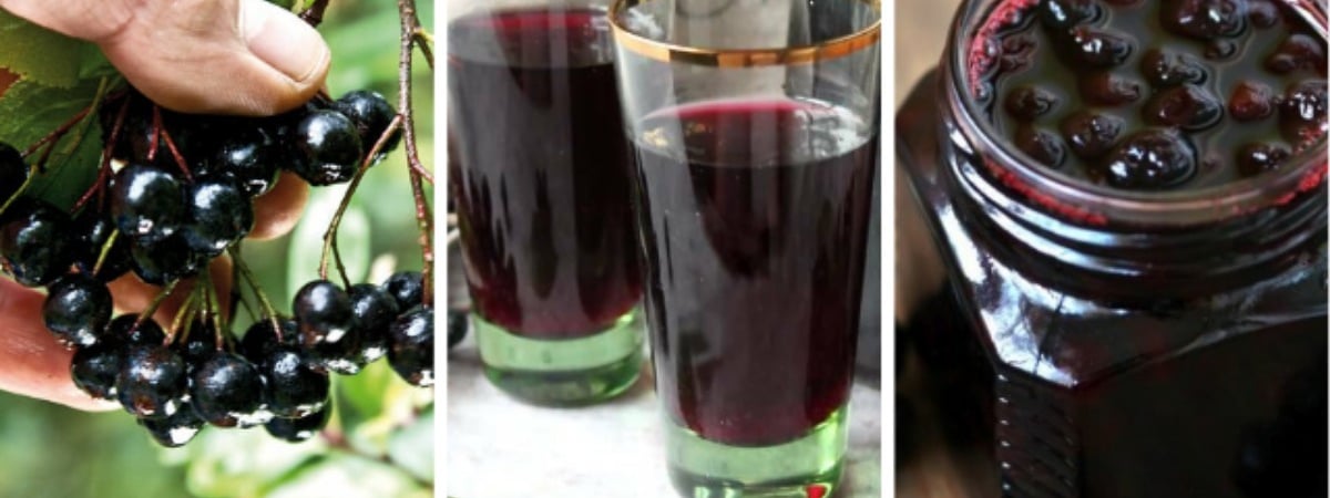 Пользу черной рябины зря недооценивают многие белорусы. Как приготовить из нее сок и варенье за 30 минут? — Полезно