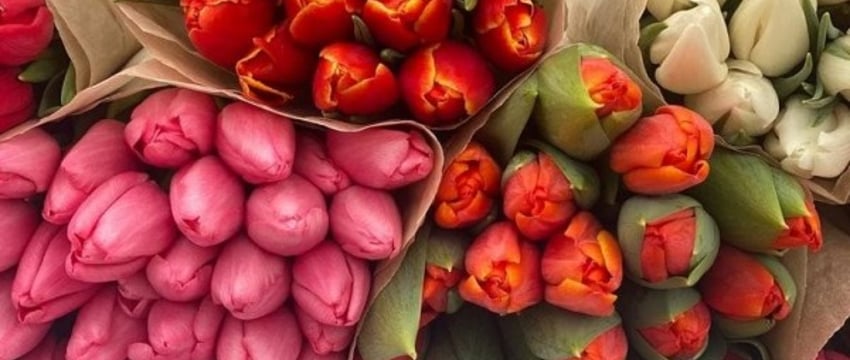 Более 600 тысяч цветов планируют продать на ярмарке в Бресте