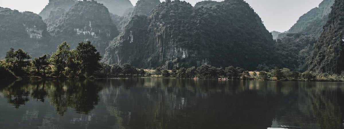 В Беларуси продажа деловой древесины в 2024 году выросла почти на 20%