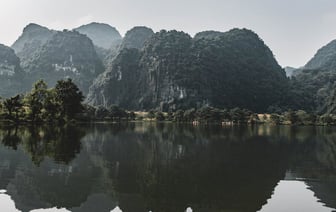 В Беларуси продажа деловой древесины в 2024 году выросла почти на 20%