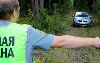 В трех регионах Брестской области введены ограничения на посещение лесов