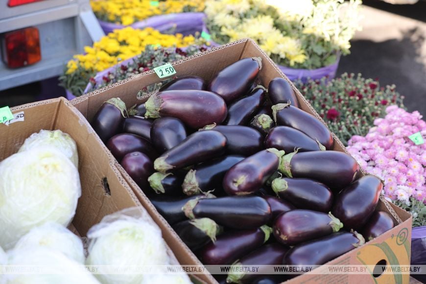 В Бресте стартовали осенние ярмарки - фоторепортаж