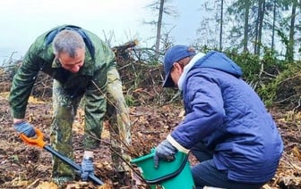 Минлесхоз пообещал белорусам подарки. Что нужно сделать взамен до 20 апреля?