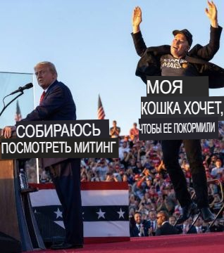Илон Маск стал мемом после прыжков на митинге Трампа