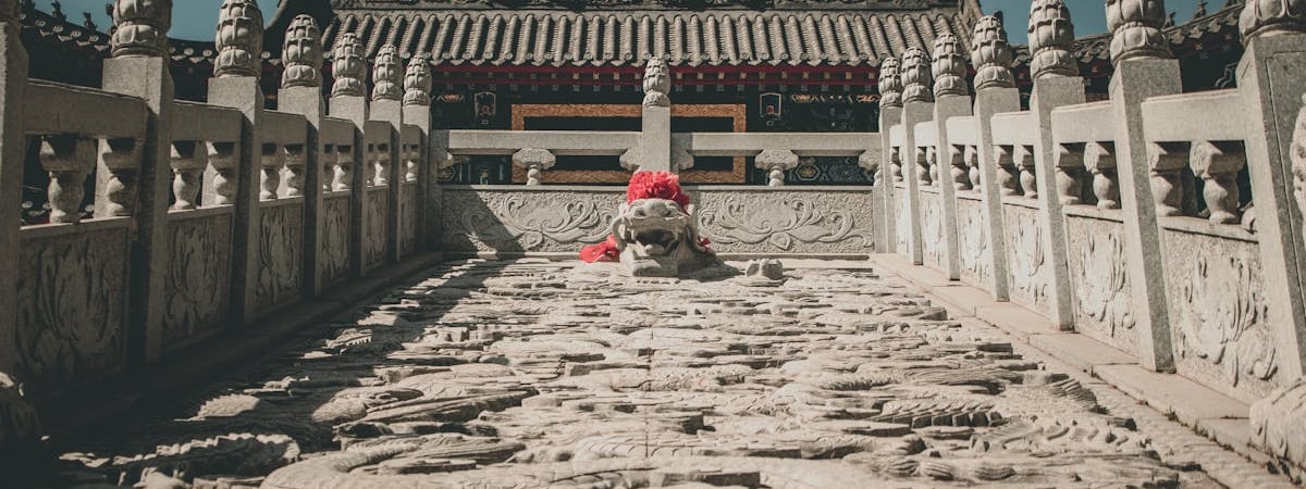 Глава Администрации Лукашенко назвал цену на заготовленную после бурелома древесину. Кто может купить?