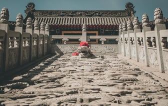 Глава Администрации Лукашенко назвал цену на заготовленную после бурелома древесину. Кто может купить?