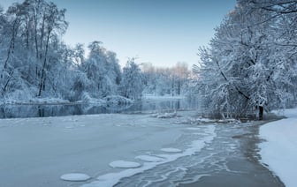 С конца марта граждане Румынии смогут находиться в США без виз