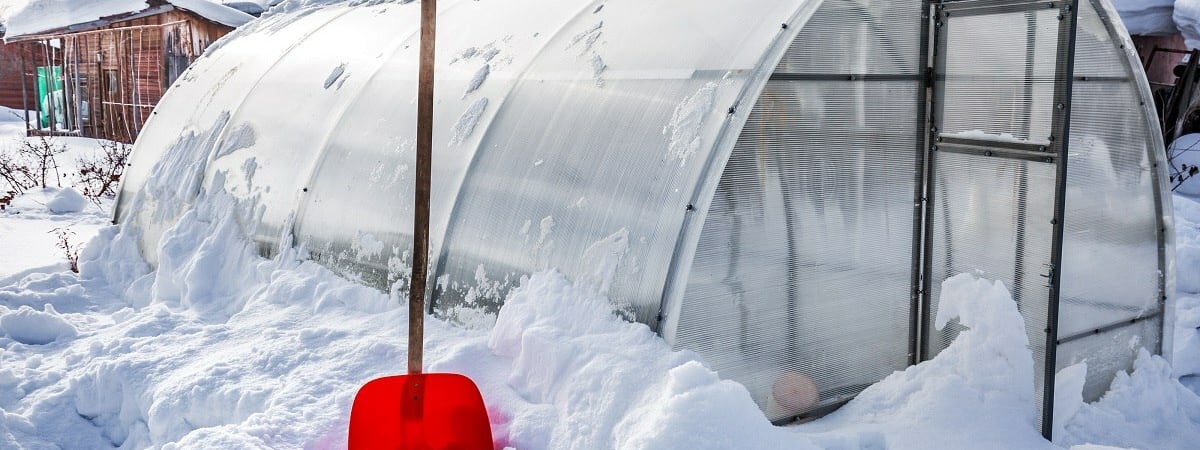 9 важных дел в саду и на огороде в январе. Зачем водить хороводы вокруг деревьев и лепить снеговиков? — Полезно