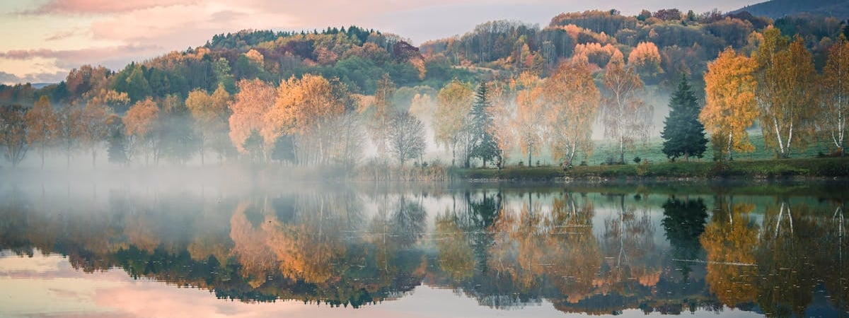 Продажи легковых автомобилей в Беларуси выросли в ноябре на 12,7% - БАА