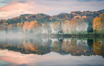 Продажи легковых автомобилей в Беларуси выросли в ноябре на 12,7% - БАА