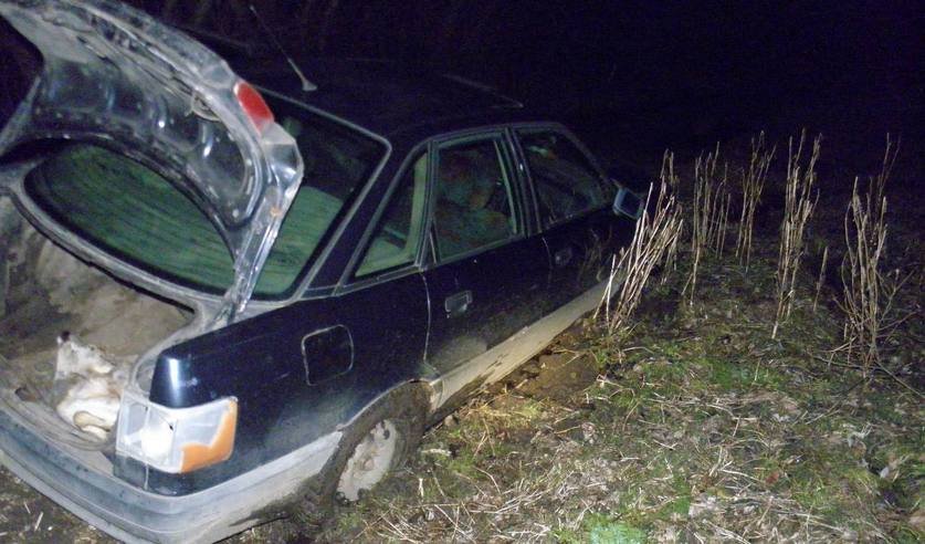 Браконьер бросил автомобиль с добычей и пытался скрыться. Случай в Брестской области