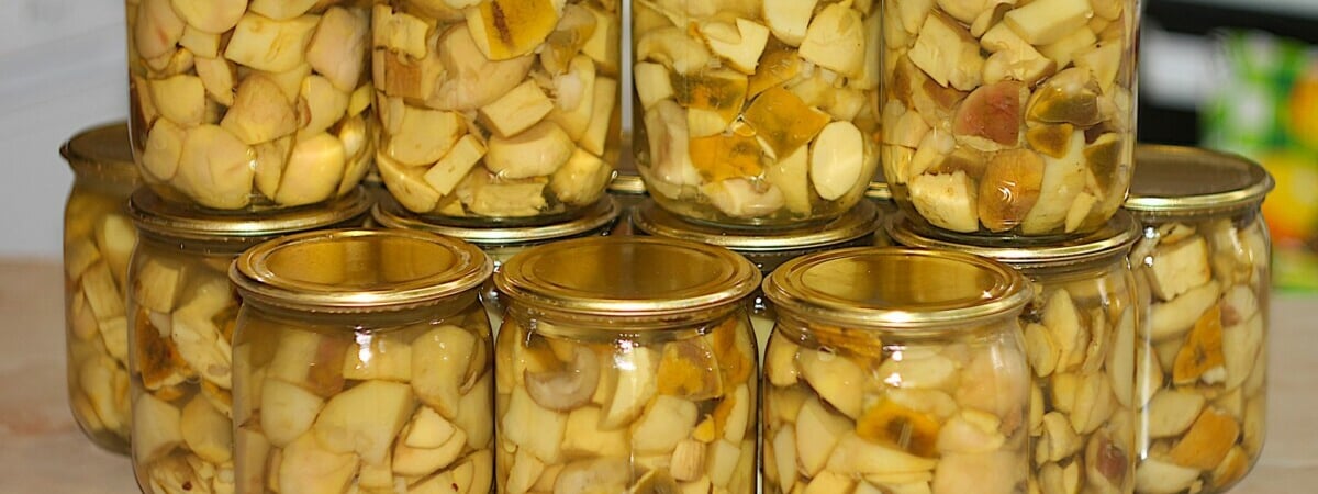 Маринованные грибы еще никогда не были такими вкусными. Как приготовить по методу 1:4? — Полезно