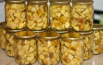 Маринованные грибы еще никогда не были такими вкусными. Как приготовить по методу 1:4? — Полезно