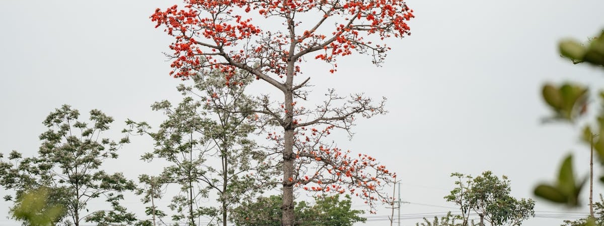 Беларусь и Вьетнам ввели безвизовый режим. За сколько можно отдохнуть?