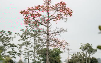 Беларусь и Вьетнам ввели безвизовый режим. За сколько можно отдохнуть?