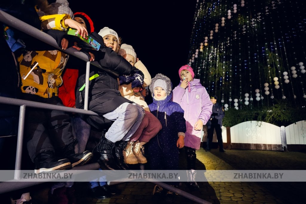 В Жабинке прошел «Зимний фест»