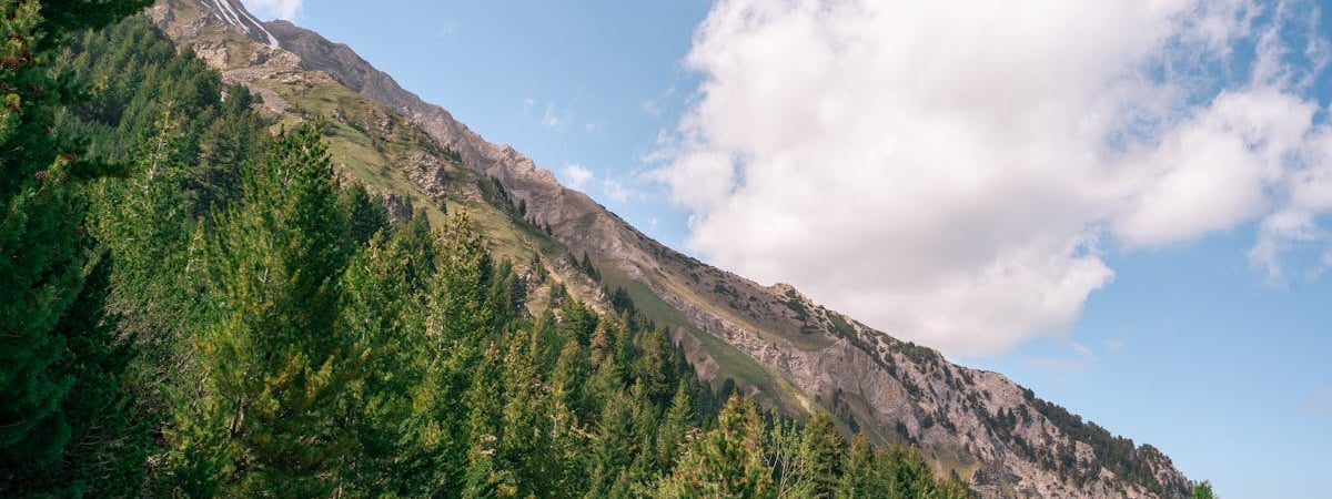 Болгария лучше других стран готова к введению евро