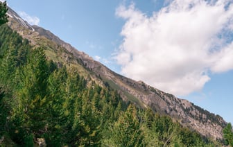 Болгария лучше других стран готова к введению евро
