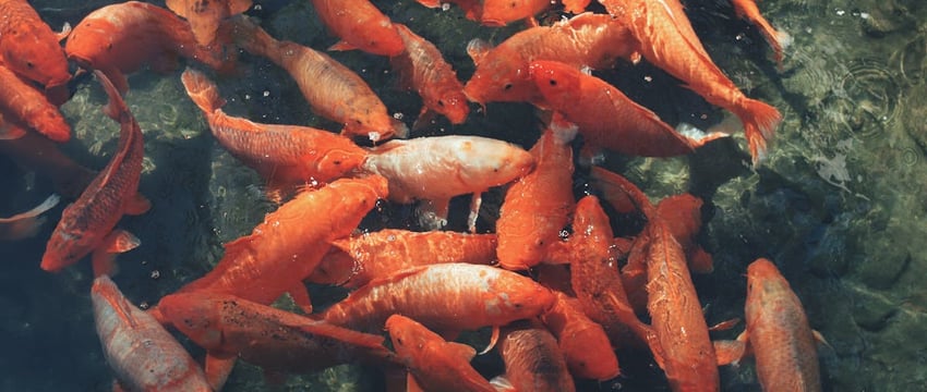 Большой концерт школы брейк-данса в Новополоцке