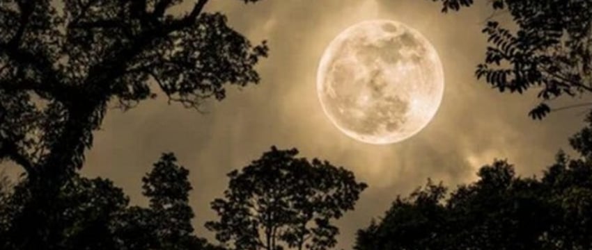 Самую большую Луну года можно будет увидеть 17 октября