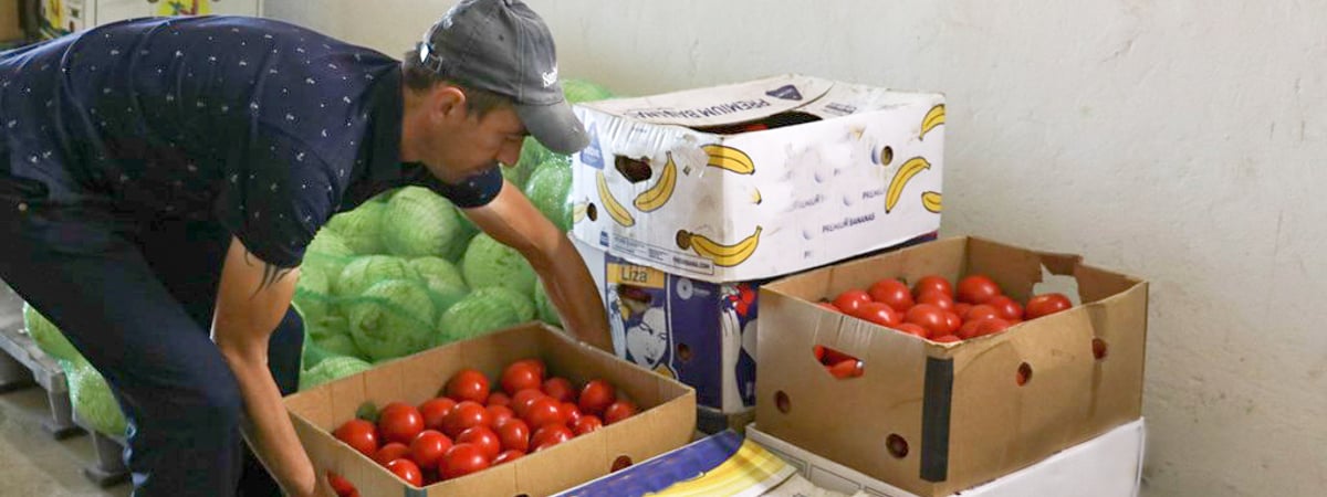 «Частнику почему-то выгодно» – Лукашенко назвал «черепашьими» темпы роста в сфере заготовок